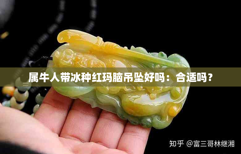 属牛人带冰种红玛脑吊坠好吗：合适吗？