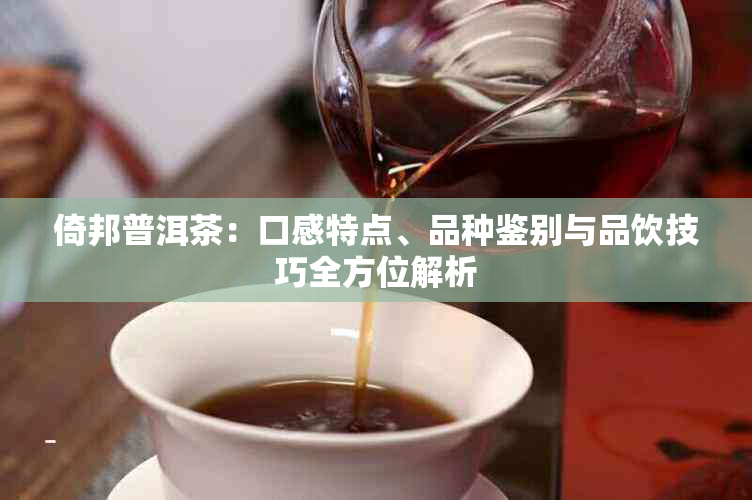 倚邦普洱茶：口感特点、品种鉴别与品饮技巧全方位解析