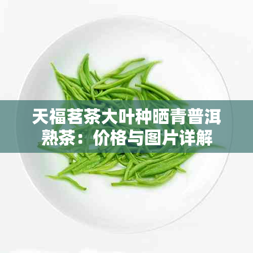 天福茗茶大叶种晒青普洱熟茶：价格与图片详解