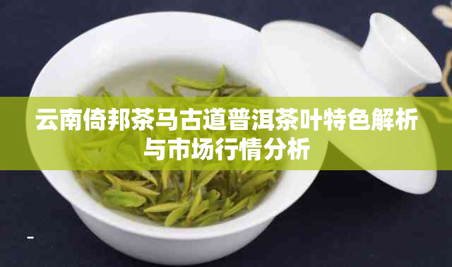 云南倚邦茶马古道普洱茶叶特色解析与市场行情分析