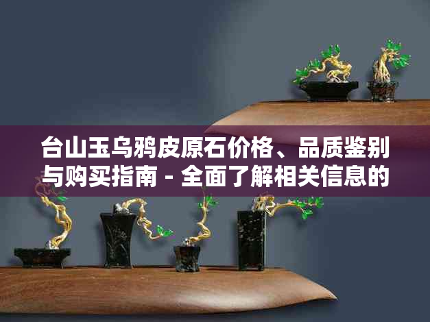 台山玉乌鸦皮原石价格、品质鉴别与购买指南 - 全面了解相关信息的搜索结果