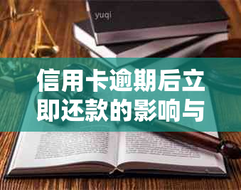 信用卡逾期后立即还款的影响与处理方法：详细解析和建议