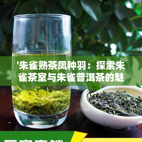 '朱雀熟茶凤种羽：探索朱雀茶室与朱雀普洱茶的魅力'