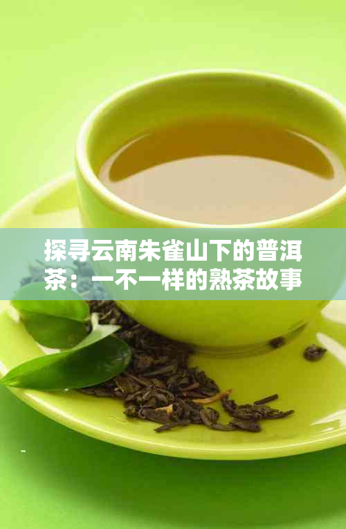 探寻云南朱雀山下的普洱茶：一不一样的熟茶故事