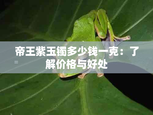 帝王紫玉镯多少钱一克：了解价格与好处