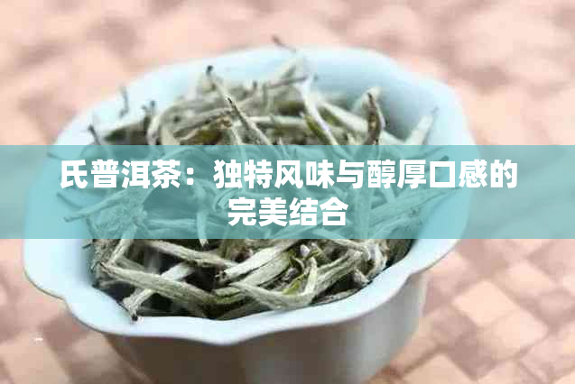 氏普洱茶：独特风味与醇厚口感的完美结合