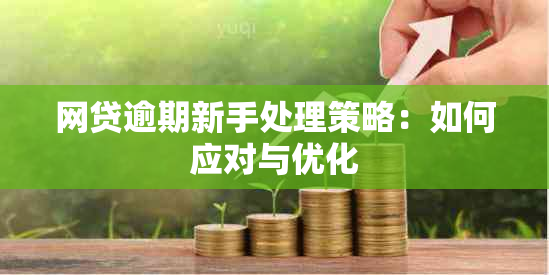 网贷逾期新手处理策略：如何应对与优化