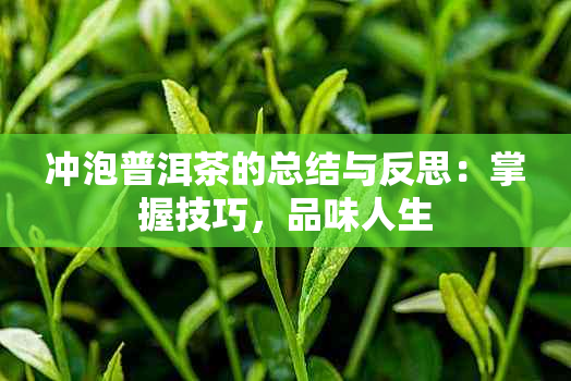 冲泡普洱茶的总结与反思：掌握技巧，品味人生