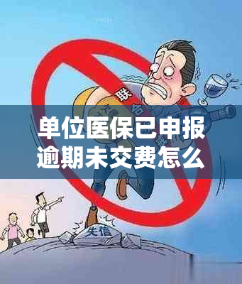 单位医保已申报逾期未交费怎么办理退款手续