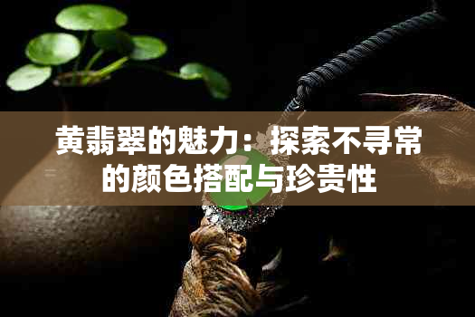 黄翡翠的魅力：探索不寻常的颜色搭配与珍贵性