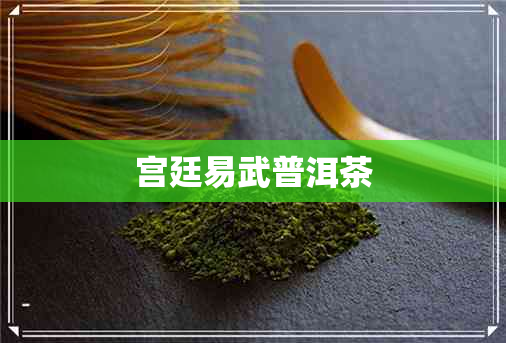 宫廷易武普洱茶