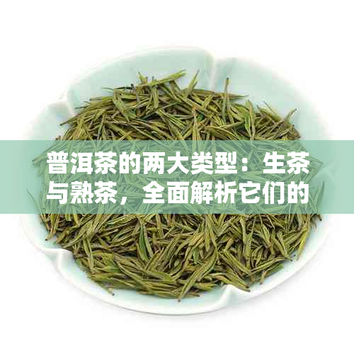 普洱茶的两大类型：生茶与熟茶，全面解析它们的区别和特点