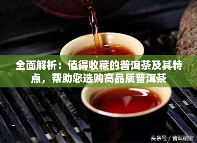 全面解析：值得收藏的普洱茶及其特点，帮助您选购高品质普洱茶