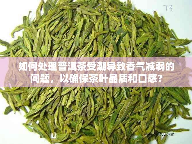 如何处理普洱茶受潮导致香气减弱的问题，以确保茶叶品质和口感？