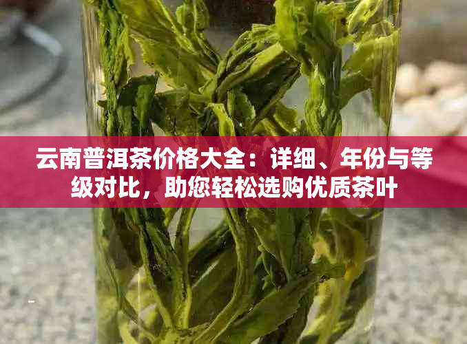 云南普洱茶价格大全：详细、年份与等级对比，助您轻松选购优质茶叶