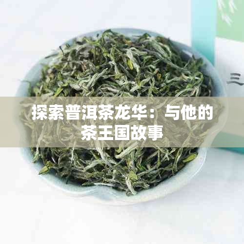 探索普洱茶龙华：与他的茶王国故事