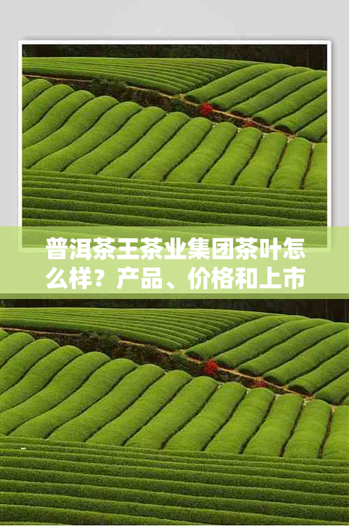 普洱茶王茶业集团茶叶怎么样？产品、价格和上市情况如何？