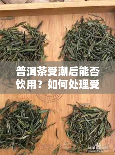 普洱茶受潮后能否饮用？如何处理受潮的普洱茶以保持其品质？