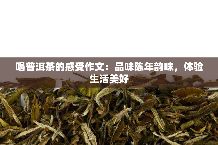 喝普洱茶的感受作文：品味陈年韵味，体验生活美好