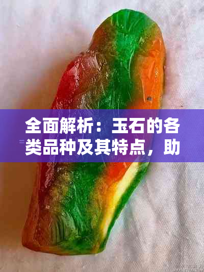 全面解析：玉石的各类品种及其特点，助您轻松选购与鉴赏