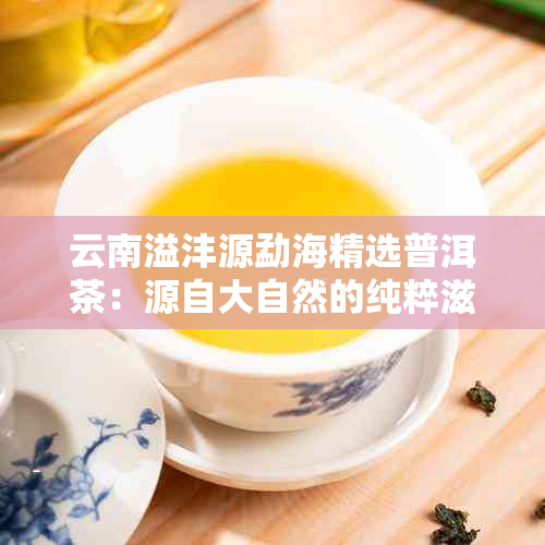 云南溢沣源勐海精选普洱茶：源自大自然的纯粹滋味