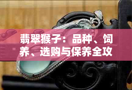 翡翠猴子：品种、饲养、选购与保养全攻略，让你成为翡翠猴专家