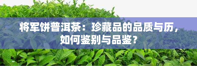 将军饼普洱茶：珍藏品的品质与历，如何鉴别与品鉴？