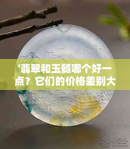 '翡翠和玉髓哪个好一点？它们的价格差别大吗，区别在哪里？'