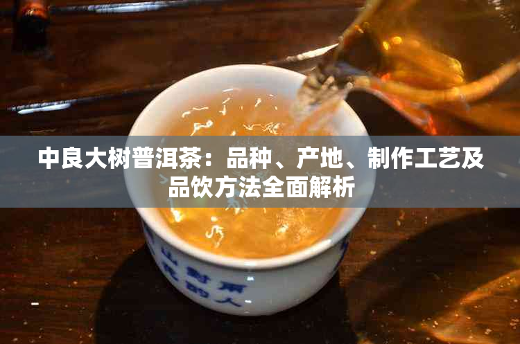 中良大树普洱茶：品种、产地、制作工艺及品饮方法全面解析