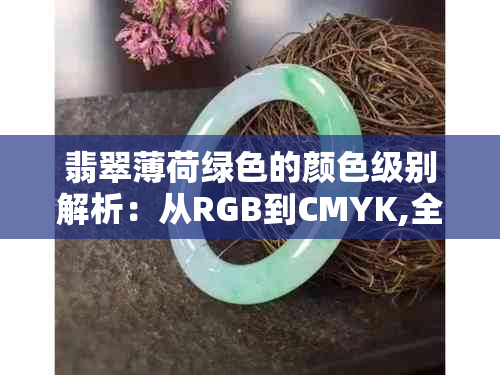 翡翠薄荷绿色的颜色级别解析：从RGB到CMYK,全面了解色彩差异与搭配