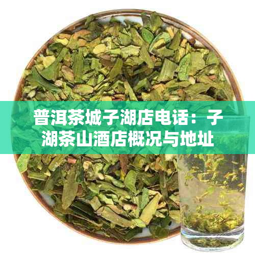 普洱茶城子湖店电话：子湖茶山店概况与地址