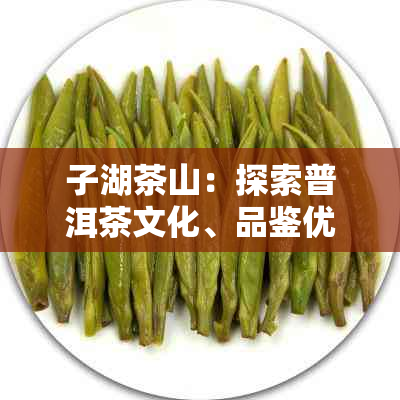 子湖茶山：探索普洱茶文化、品鉴优质普洱茶与享受静的自然风光