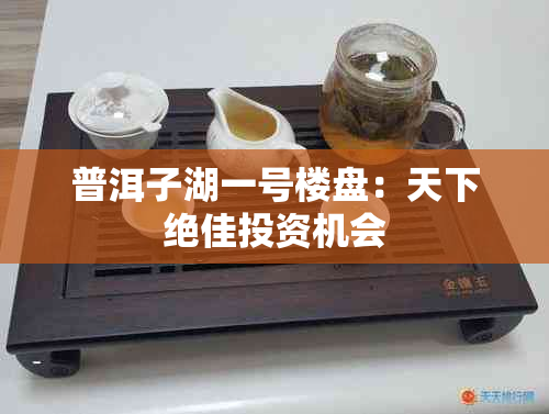 普洱子湖一号楼盘：天下绝佳投资机会