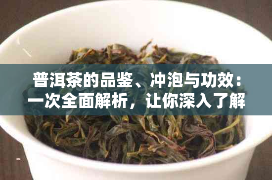 普洱茶的品鉴、冲泡与功效：一次全面解析，让你深入了解这款中国名茶