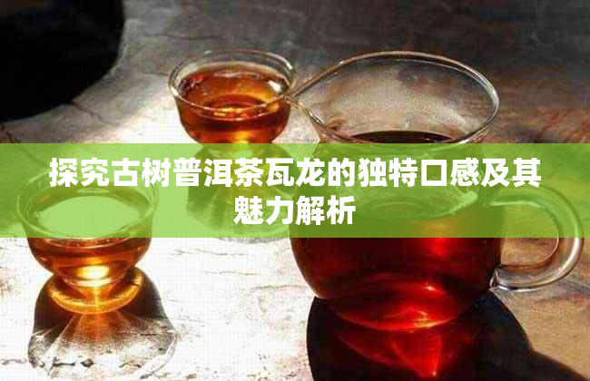 探究古树普洱茶瓦龙的独特口感及其魅力解析