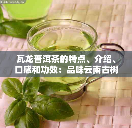 瓦龙普洱茶的特点、介绍、口感和功效：品味云南古树茶的魅力与健益处