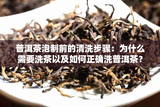 普洱茶泡制前的清洗步骤：为什么需要洗茶以及如何正确洗普洱茶？