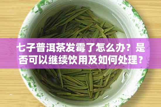 七子普洱茶发霉了怎么办？是否可以继续饮用及如何处理？