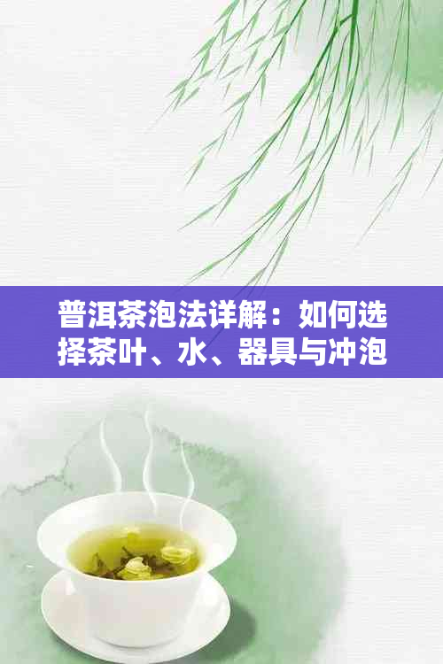 普洱茶泡法详解：如何选择茶叶、水、器具与冲泡步骤，让您品尝到口感