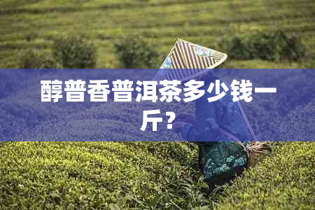 醇普香普洱茶多少钱一斤？