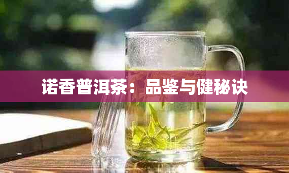 诺香普洱茶：品鉴与健秘诀