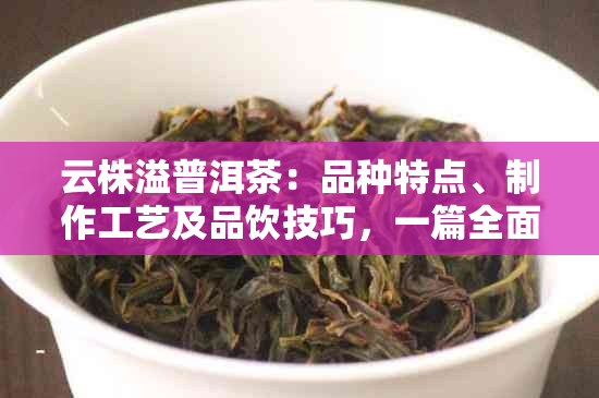 云株溢普洱茶：品种特点、制作工艺及品饮技巧，一篇全面解析