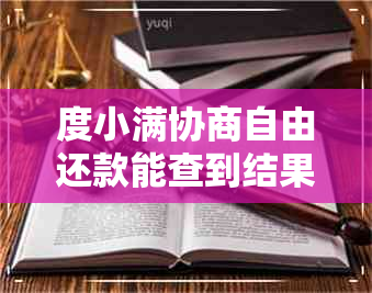 度小满协商自由还款能查到结果吗