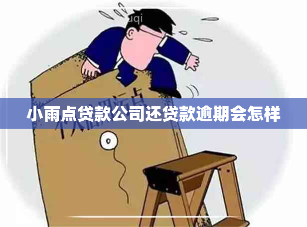 小雨点贷款公司还贷款逾期会怎样