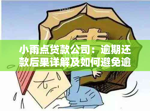 小雨点贷款公司：逾期还款后果详解及如何避免逾期问题