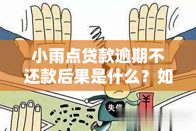 小雨点贷款逾期不还款后果是什么？如何避免？