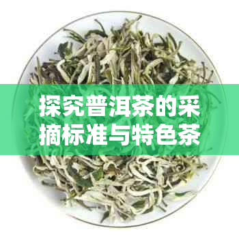 探究普洱茶的采摘标准与特色茶叶品种