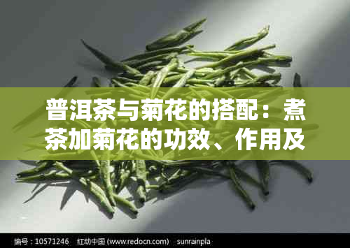 普洱茶与菊花的搭配：煮茶加菊花的功效、作用及注意事项