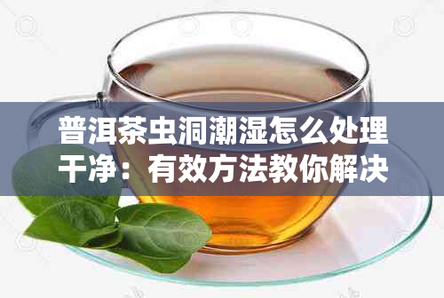 普洱茶虫洞潮湿怎么处理干净：有效方法教你解决普洱茶受潮问题