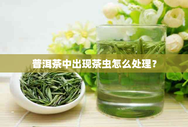 普洱茶中出现茶虫怎么处理？